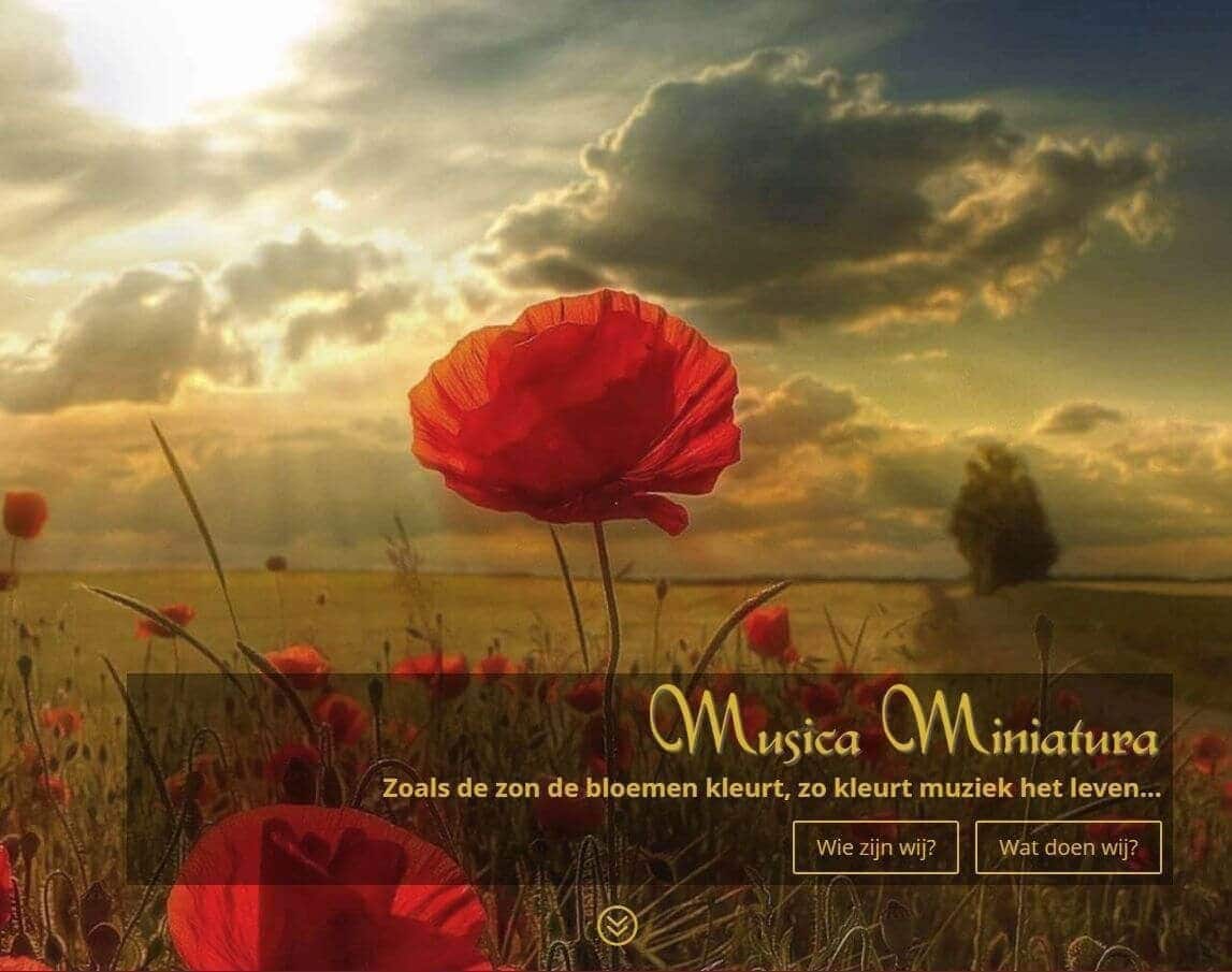 Afbeelding website Musica Miniatura